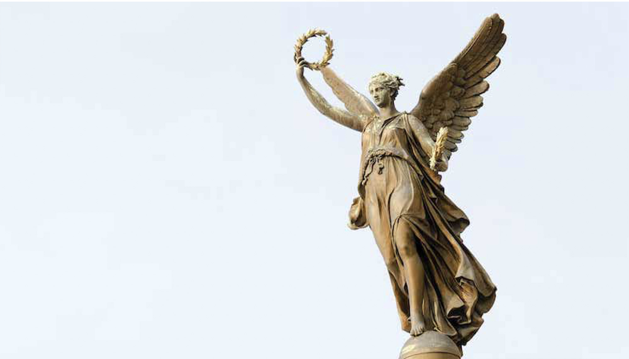 expert witness
